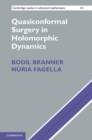 Quasiconformal Surgery in Holomorphic Dynamics - eBook