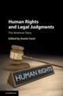 Human Rights and Legal Judgments : The American Story - eBook