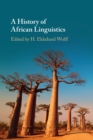 A History of African Linguistics - Book
