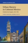 Urban Slavery in Colonial Mexico : Puebla de los Angeles, 1531-1706 - Book