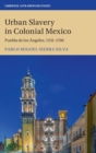 Urban Slavery in Colonial Mexico : Puebla de los Angeles, 1531-1706 - Book