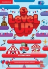 Level Up Level 3 Flashcards - Book