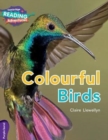 Cambridge Reading Adventures Colourful Birds Purple Band - Book