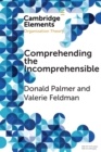 Comprehending the Incomprehensible : Organization Theory and Child Sexual Abuse in Organizations - Book