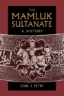The Mamluk Sultanate : A History - Book