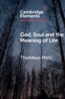 God, Soul and the Meaning of Life - Book