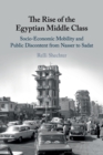 The Rise of the Egyptian Middle Class : Socio-economic Mobility and Public Discontent from Nasser to Sadat - Book