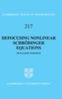 Defocusing Nonlinear Schrodinger Equations - Book