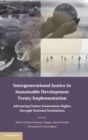 Intergenerational Justice in Sustainable Development Treaty Implementation : Advancing Future Generations Rights through National Institutions - Book