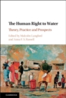 Human Right to Water : Theory, Practice and Prospects - eBook