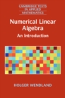 Numerical Linear Algebra : An Introduction - eBook