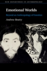 Interpreting Dilthey : Critical Essays - Andrew Beatty
