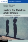 Justice for Children and Families : A Developmental Perspective - eBook