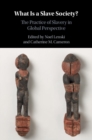 What Is a Slave Society? : The Practice of Slavery in Global Perspective - eBook