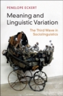 Meaning and Linguistic Variation : The Third Wave in Sociolinguistics - eBook
