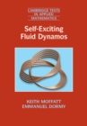 Self-Exciting Fluid Dynamos - eBook