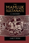 Mamluk Sultanate : A History - eBook