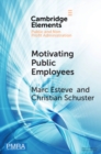Motivating Public Employees - eBook