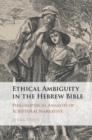 Ethical Ambiguity in the Hebrew Bible : Philosophical Analysis of Scriptural Narrative - eBook