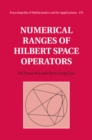 Numerical Ranges of Hilbert Space Operators - eBook