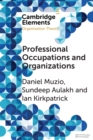 Professional Occupations and Organizations - Book