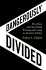 Dangerously Divided : How Race and Class Shape Winning and Losing in American Politics - eBook