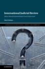 International Judicial Review : When Should International Courts Intervene? - eBook