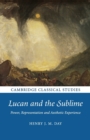 Lucan and the Sublime : Power, Representation and Aesthetic Experience - Book