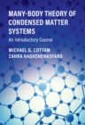 Many-Body Theory of Condensed Matter Systems : An Introductory Course - eBook