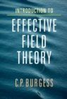 Introduction to Effective Field Theory : Thinking Effectively about Hierarchies of Scale - eBook
