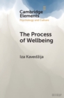 The Process of Wellbeing : Conviviality, Care, Creativity - eBook