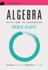 Algebra : Notes from the Underground - Book