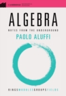 Algebra : Notes from the Underground - eBook