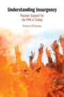 Understanding Insurgency : Popular Support for the PKK in Turkey - Book