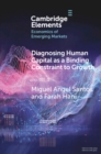 Diagnosing Human Capital as a Binding Constraint to Growth : Tests, Symptoms and Prescriptions - eBook