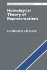 Homological Theory of Representations - eBook