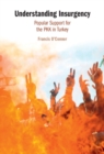 Understanding Insurgency : Popular Support for the PKK in Turkey - eBook