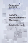Godel's Incompleteness Theorems - Book