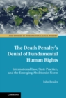 Death Penalty's Denial of Fundamental Human Rights : International Law, State Practice, and the Emerging Abolitionist Norm - eBook