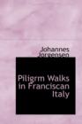 Piligrm Walks in Franciscan Italy - Book