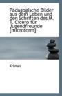 Padagogische Bilder Aus Dem Leben Und Den Schriften Des M. T. Cicero Fur Jugendfreunde [Microform] - Book