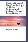 Illustrations of the Conchology of Great Britain and Ireland : Drawn from Nature - Book