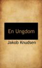 En Ungdom - Book