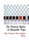 The Poetical Works of Alexander Pope - Book