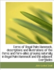 Ferns of Royal Palm Hammock, Descriptions and Illustrations of the Ferns and Fern-Allies Growing Nat - Book