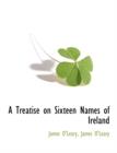 A Treatise on Sixteen Names of Ireland - Book