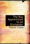 The Boy Apprenticed to an Enchanter - Book