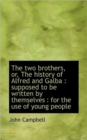 The Two Brothers, Or, the History of Alfred and Galba : Supposed to Be Written by Themselves: For T - Book