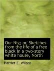 Our Nig; Or, Sketches from the Life of a Free Black in a Two-Story White House, North - Book