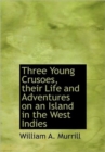 Three Young Crusoes, Their Life and Adventures on an Island in the West Indies - Book